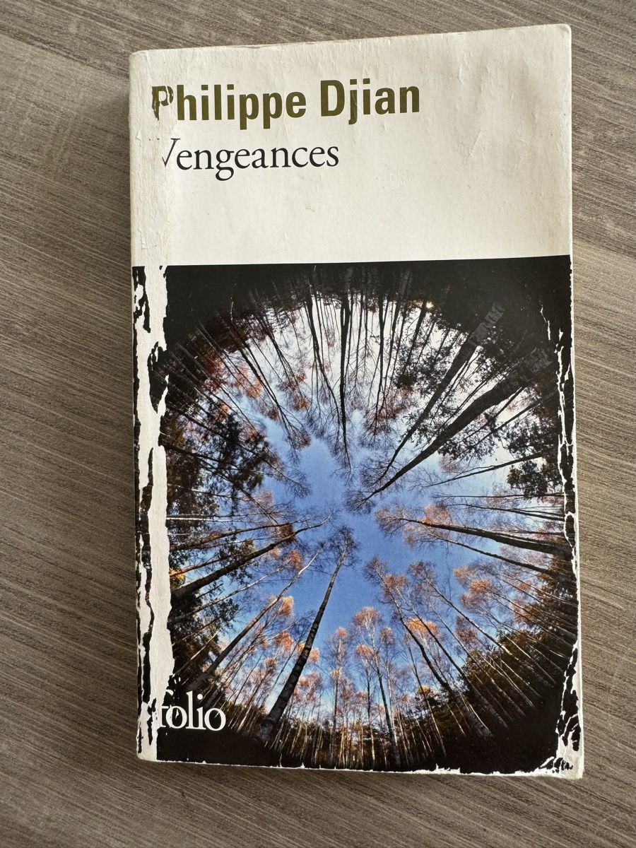 Libri: Livre "Vengeances" de Philippe Djian – Usato da Vevey venduto da Matx