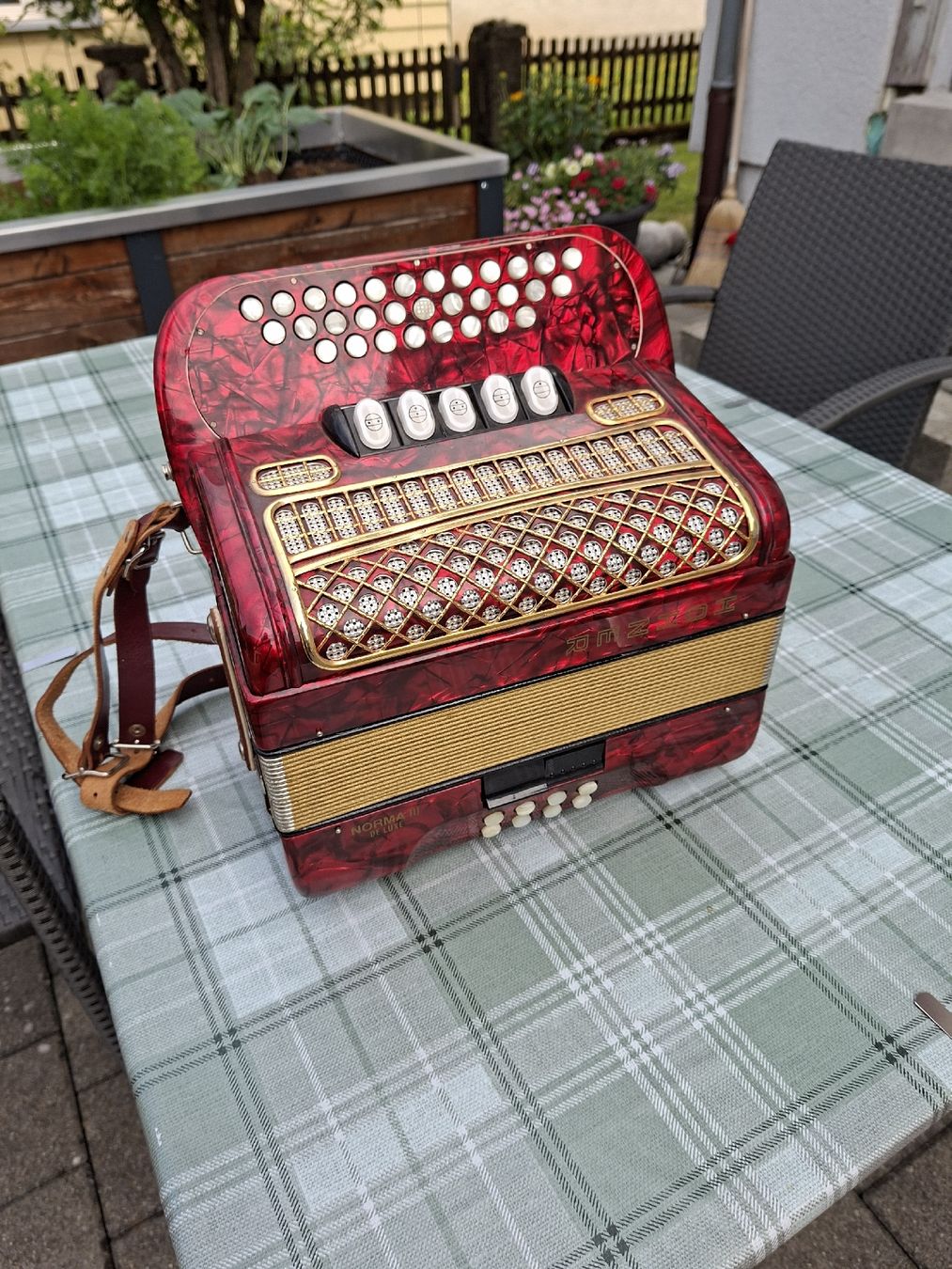 Hohner Strumenti musicali: 2 Akkordeon Hohner – Usato da Bütschwil venduto da maelli.