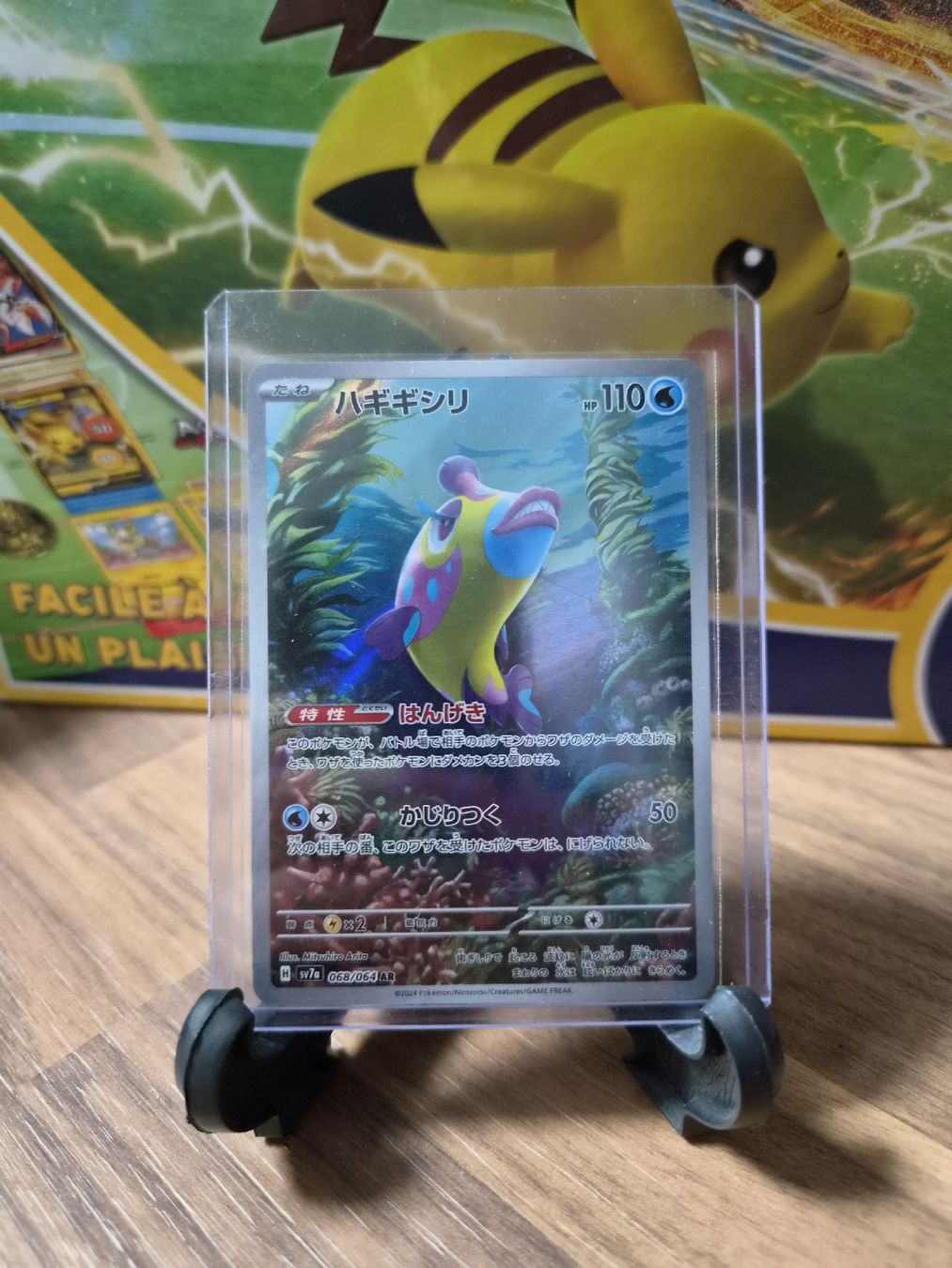 Pokémon Carte collezionabili: Pokemon Carte Denticrisse Jap – Nuovo e nell'imballaggio originale da Gland venduto da Stephisa