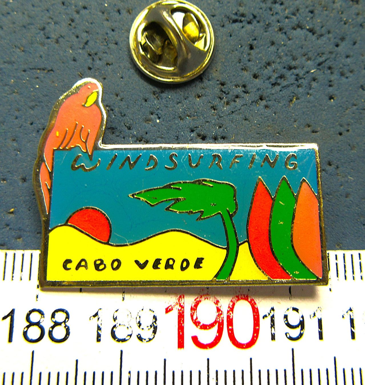Placchette & Badge: WINDSURFING PAPAGEI CABO VERDE PIN – Usato da Ettingen venduto da Hausi4711
