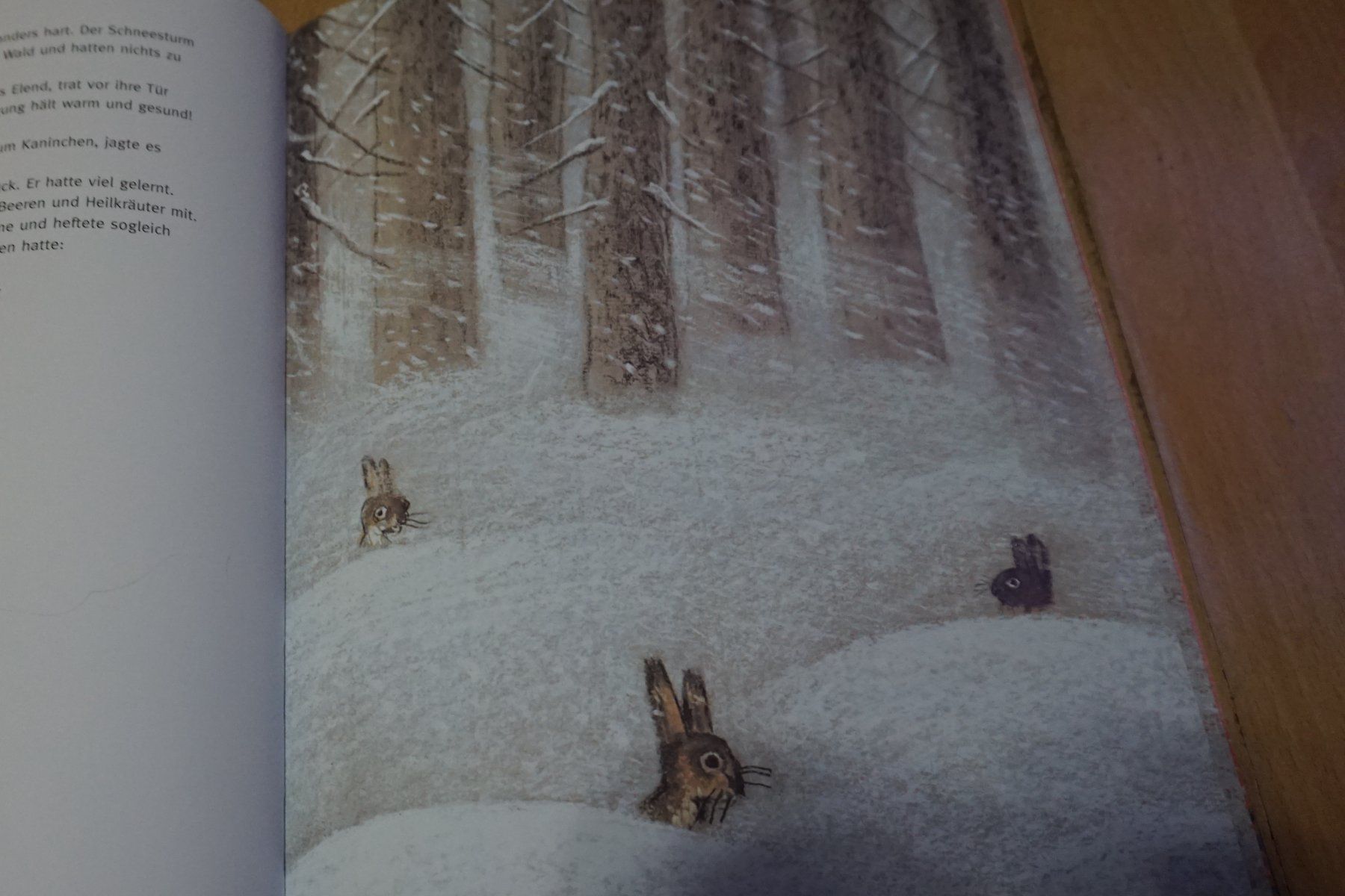 Libri: "Der gute Wolf" -und andere Tiergeschichten – Usato da Zürich venduto da einalemjena 2