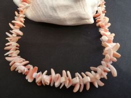 Prachtvolles Muschel COLLIER