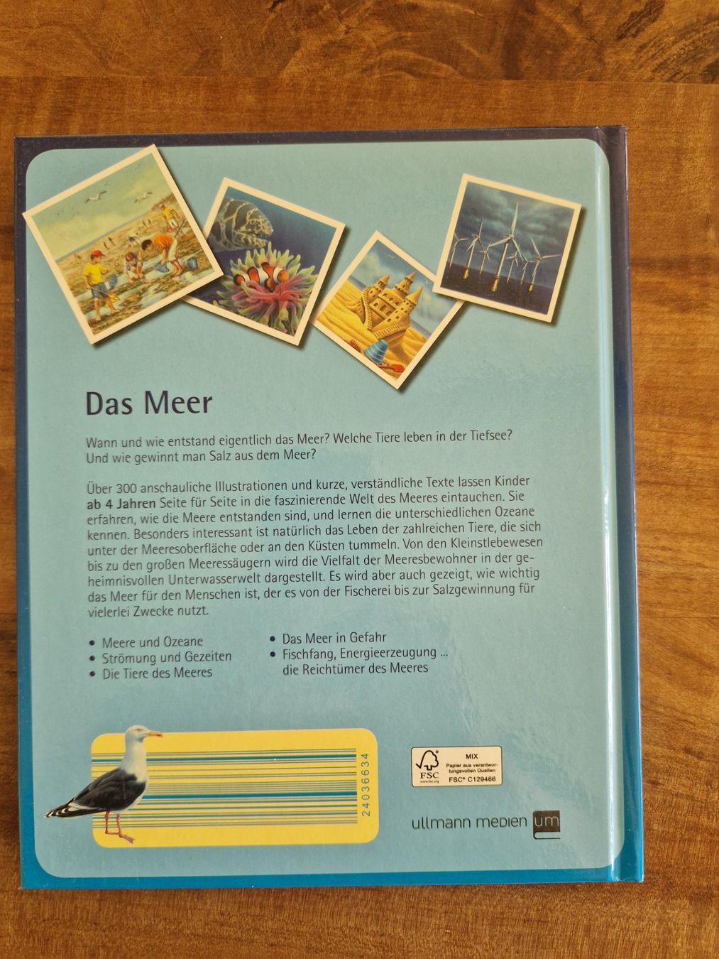 Libri: Buch / Wissensbuch "Das Meer" – Usato da Giswil venduto da movo08 1