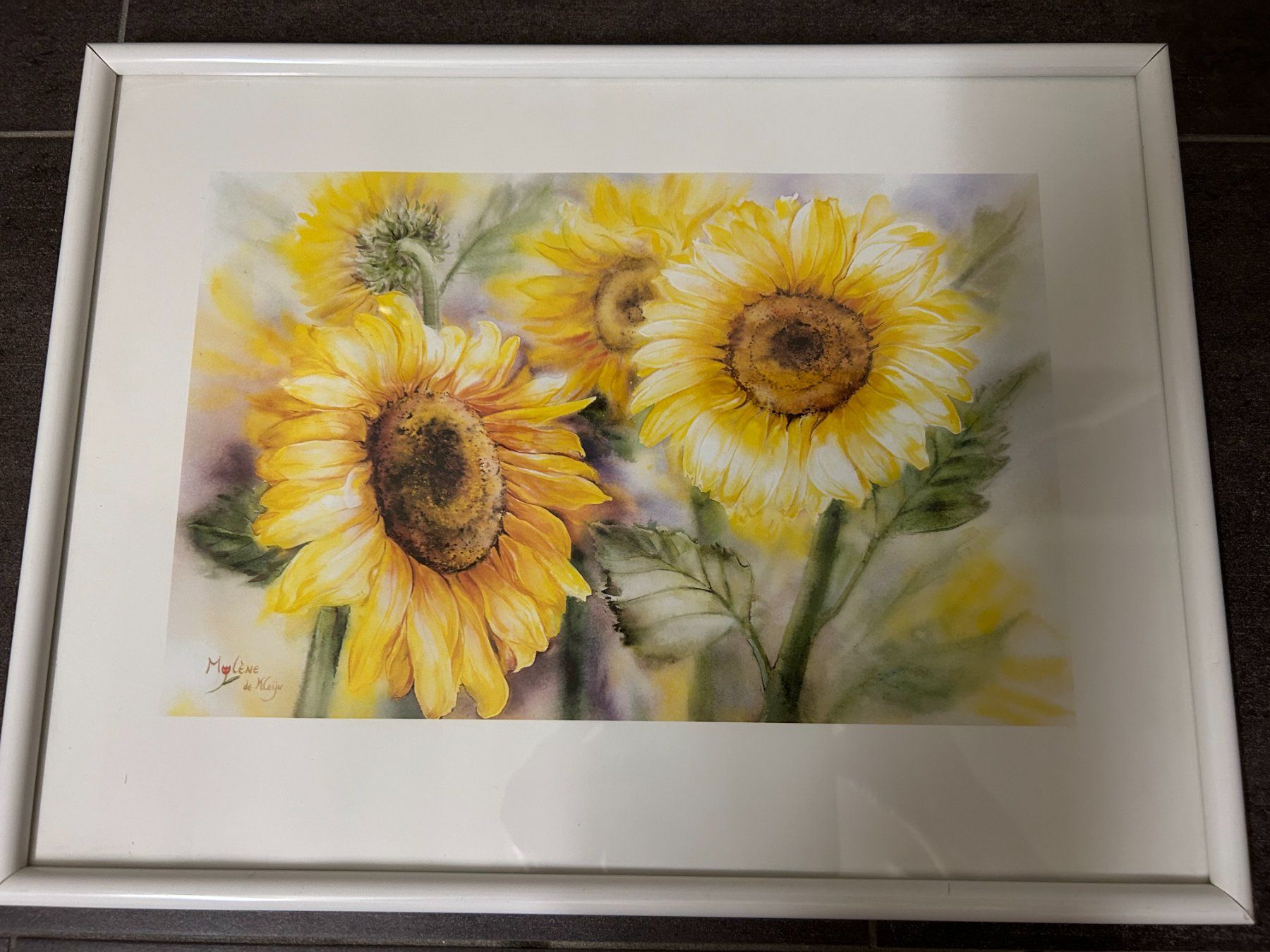 Foto & Immagini: Bild mit Sonnenblumen-Sujet – Usato da Hagendorn venduto da Teora66