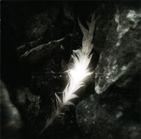 Rapture - Silent Stage