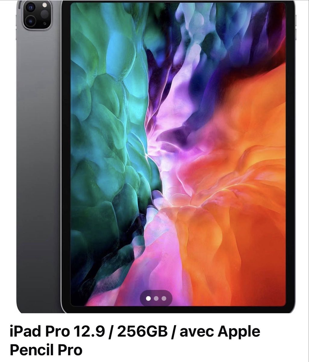 Apple Tablettes PC: iPad Pro 12.9 / 256GB / avec Apple Pencil Pro – D'occasion à Corsier-sur-Vevey par dav_z7bl 1