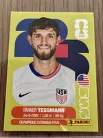 Panini Sticker Tanner Tessmann WM 2026