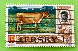 Briefmarken aus Jersey Ansichten gestempelt 