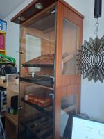 Cigar-Humidor mit Beleuchtung und Befeuchtung