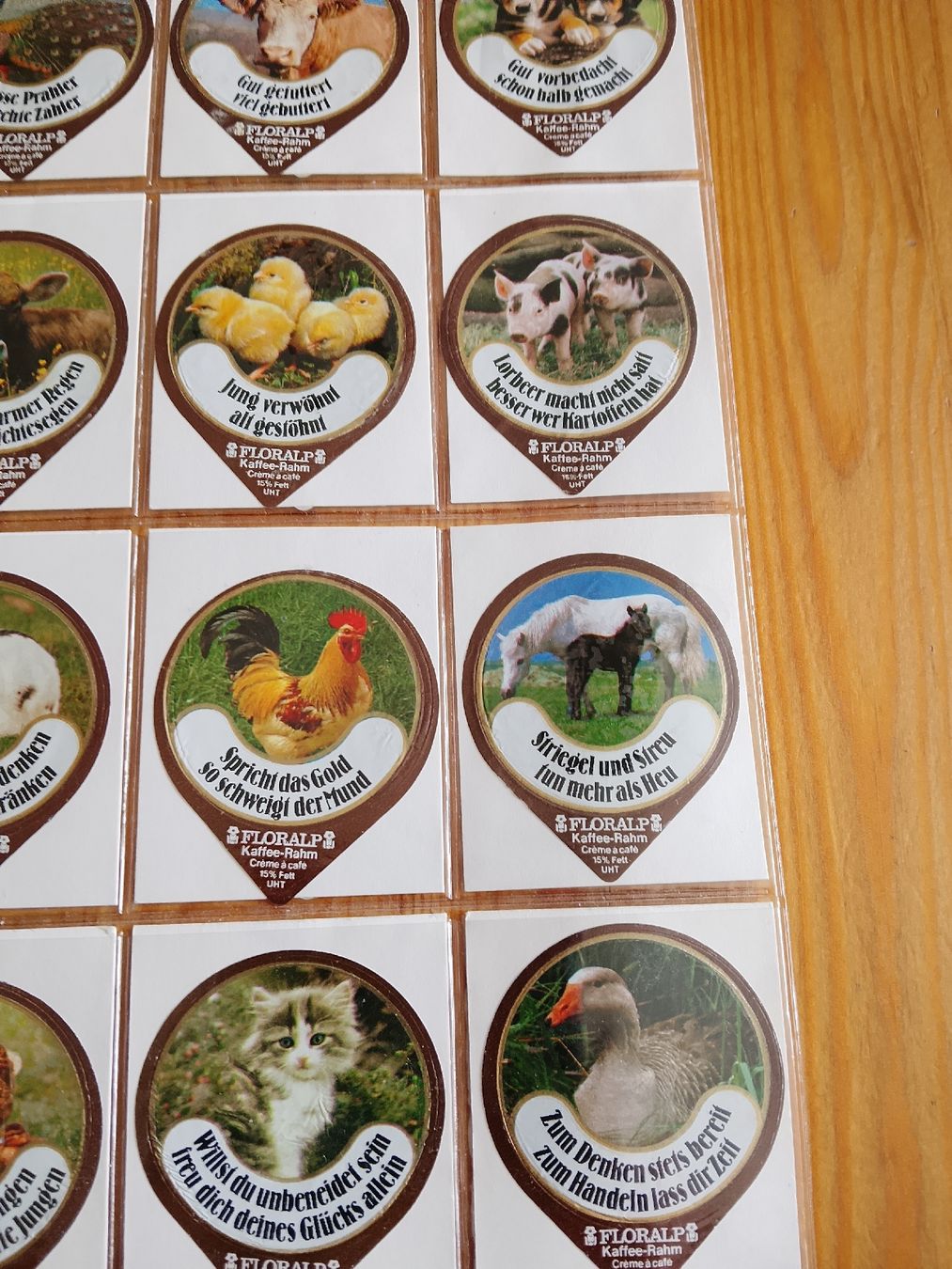 Floralp Kaffeerahmdeckel: Kaffeerahmdeckeli – Neu (gemäss Beschreibung) aus Volken von katz5 5