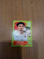 Panini IRQ14