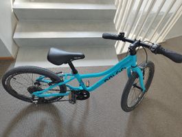 Kinder Fahrrad Naloo blau 20 Zoll 