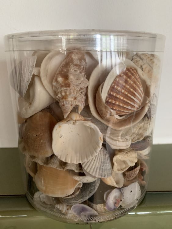 Hodao 3-tlg Sommerwichtel Set - Handgefertigte Meeresthema Zwerge Deko