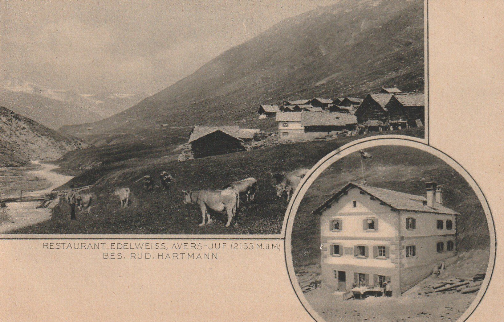 Cartoline postali: Avers - Juf 2-bildrig mit Rest. Edelweiss – Usato da Rorschacherberg venduto da fratovi2