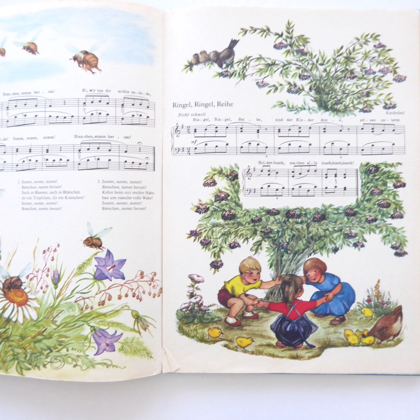 Bücher: Das grosse Buch der Kinderlieder – Gebraucht aus Basel von Kunterbunt12 5