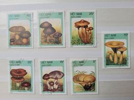 PILZMOTIVE / MOTIFS DE CHAMPIGNONS – VIETNAM