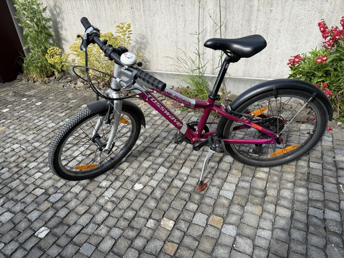 Crosswave Biciclette: 20” Crosswave velo  – Usato da Meggen venduto da Petra-Arte