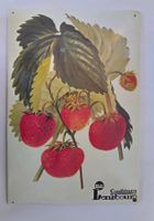 Blechschild Erdbeeren Confitures Lenzbourg (Lenzburg) 40x27