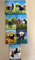 Ostwind Bücher Set | 7 Teile