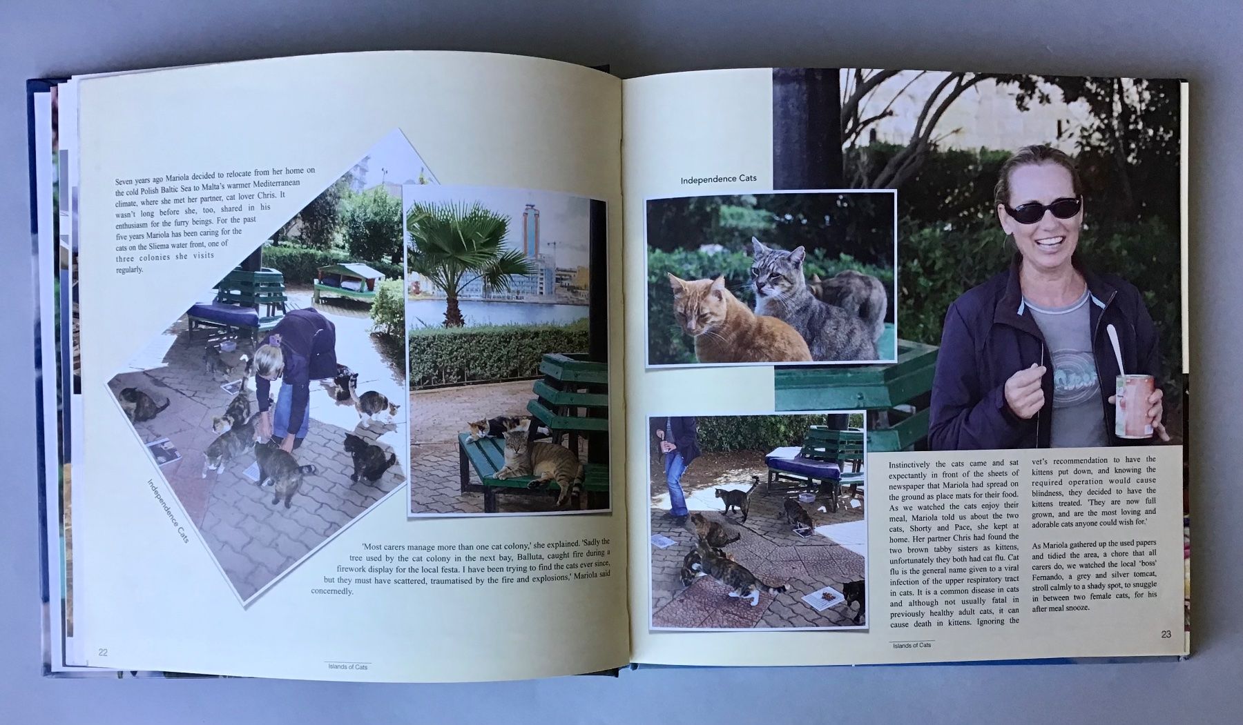 Libri: Buch: Islands of Cats – Nuovo (secondo la descrizione) da Bubendorf venduto da Alpenheidi 2