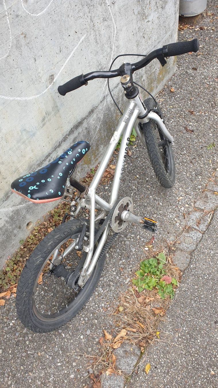 Early Rider Biciclette: Early Rider 16" – Usato da Brügg BE venduto da admawa 4