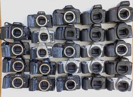 24 Stk. AF-Spiegelreflexkameras -Minolta, Canon, Nikon
