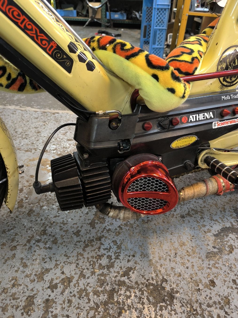 Puch Mofas: Puch Maxi S Custom – Gebraucht aus Münchwilen TG von Denso33 3