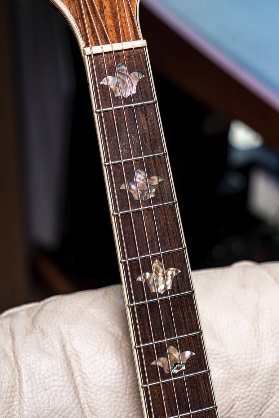 Washburn Strumenti musicali: Washburn Akustikgitarre – Usato da Unterseen venduto da powerpan 2