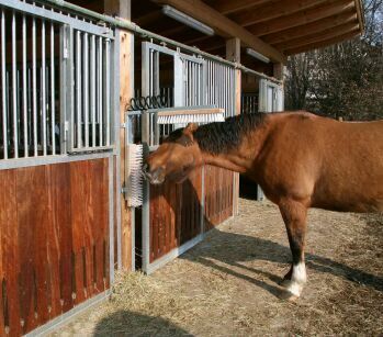 Altro per la casa: +Viehbürste TEXAS Neu! – Nuovo e nell'imballaggio originale da Amriswil venduto da JaJa-Express 1