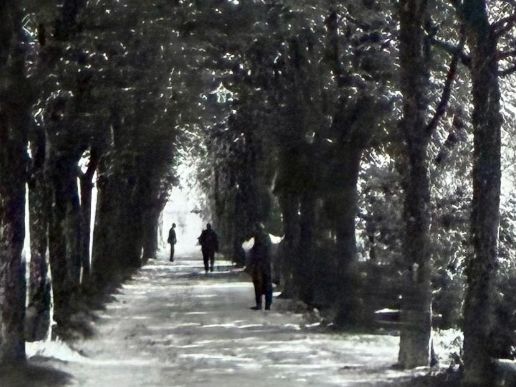 Cartoline postali: Heiden - Kurallee 1930 – Usato da Lutry venduto da Ediego 1