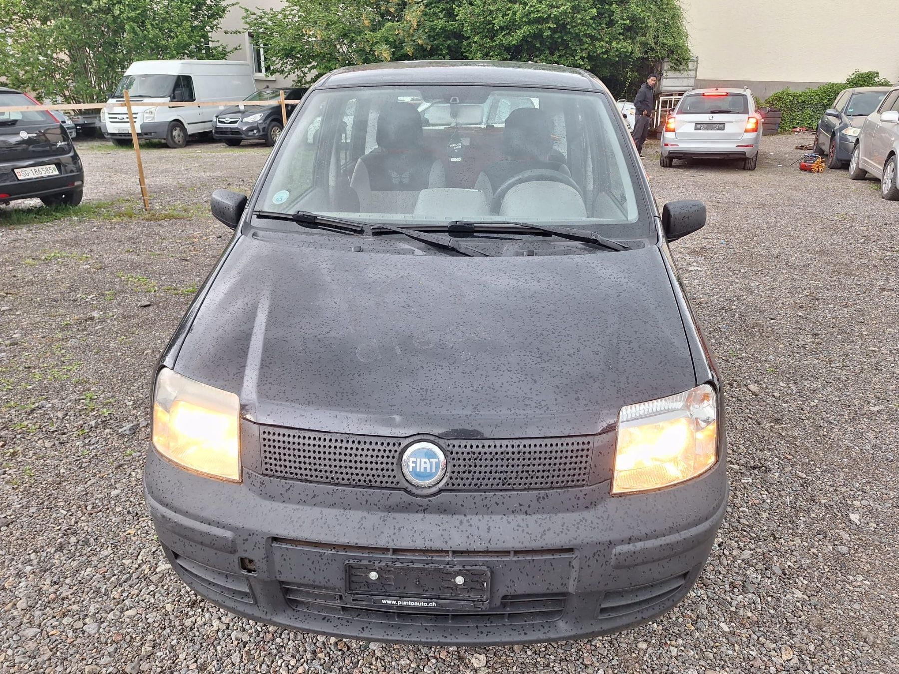 Fiat Automobili: Fiat Panda 1.1 – Usato da St. Gallen venduto da Pro-Autos