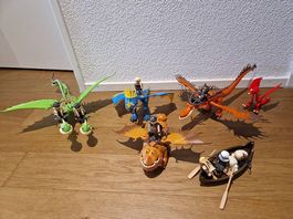 Drachenzähmen leichtgemacht von Playmobil
