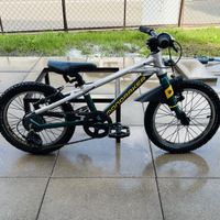 Mondraker Leader 16