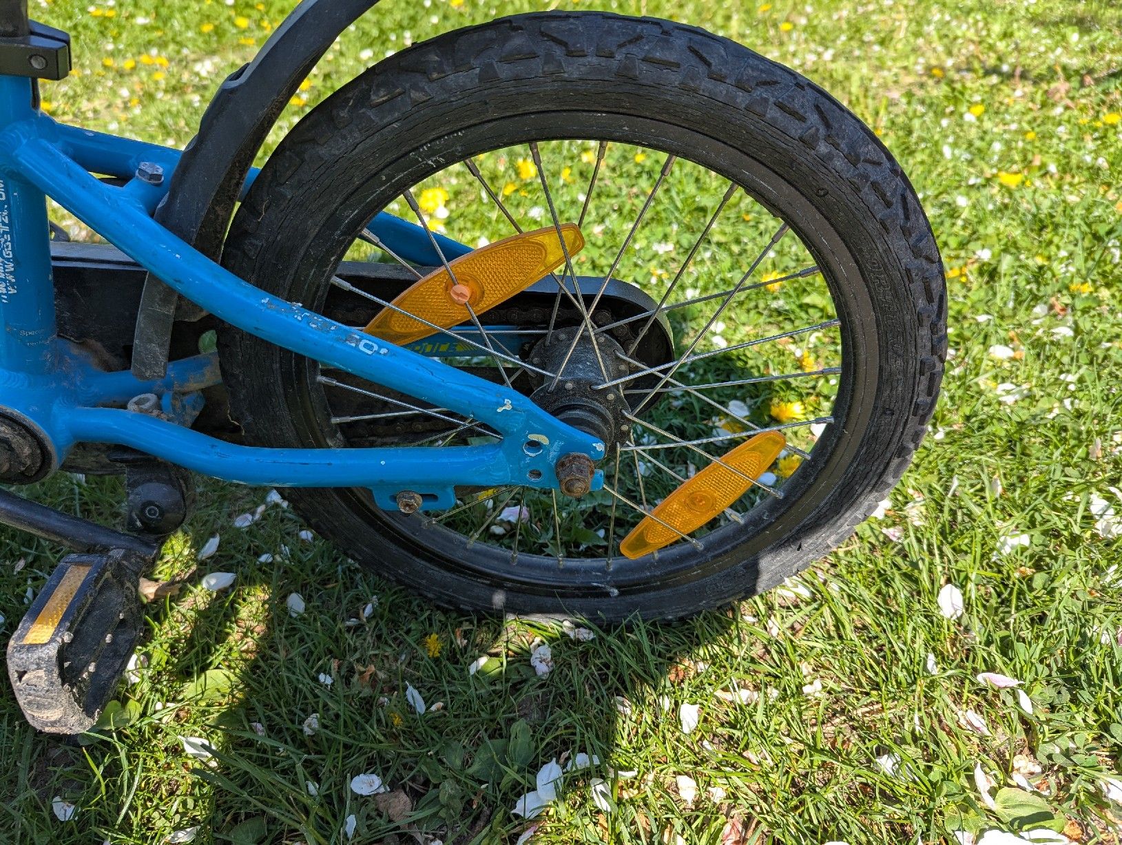Specialized Biciclette: Specialized Kindervelo 16 Zoll – Usato da Schönenwerd venduto da naehel 1