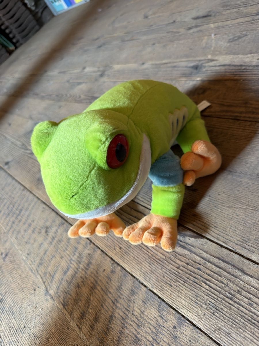 Giocattoli: Plüsch frosch – Usato da Münsingen venduto da ran_5sv9