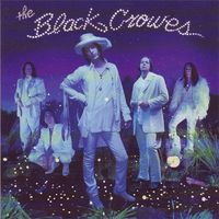 Black Crowes: By your side CD