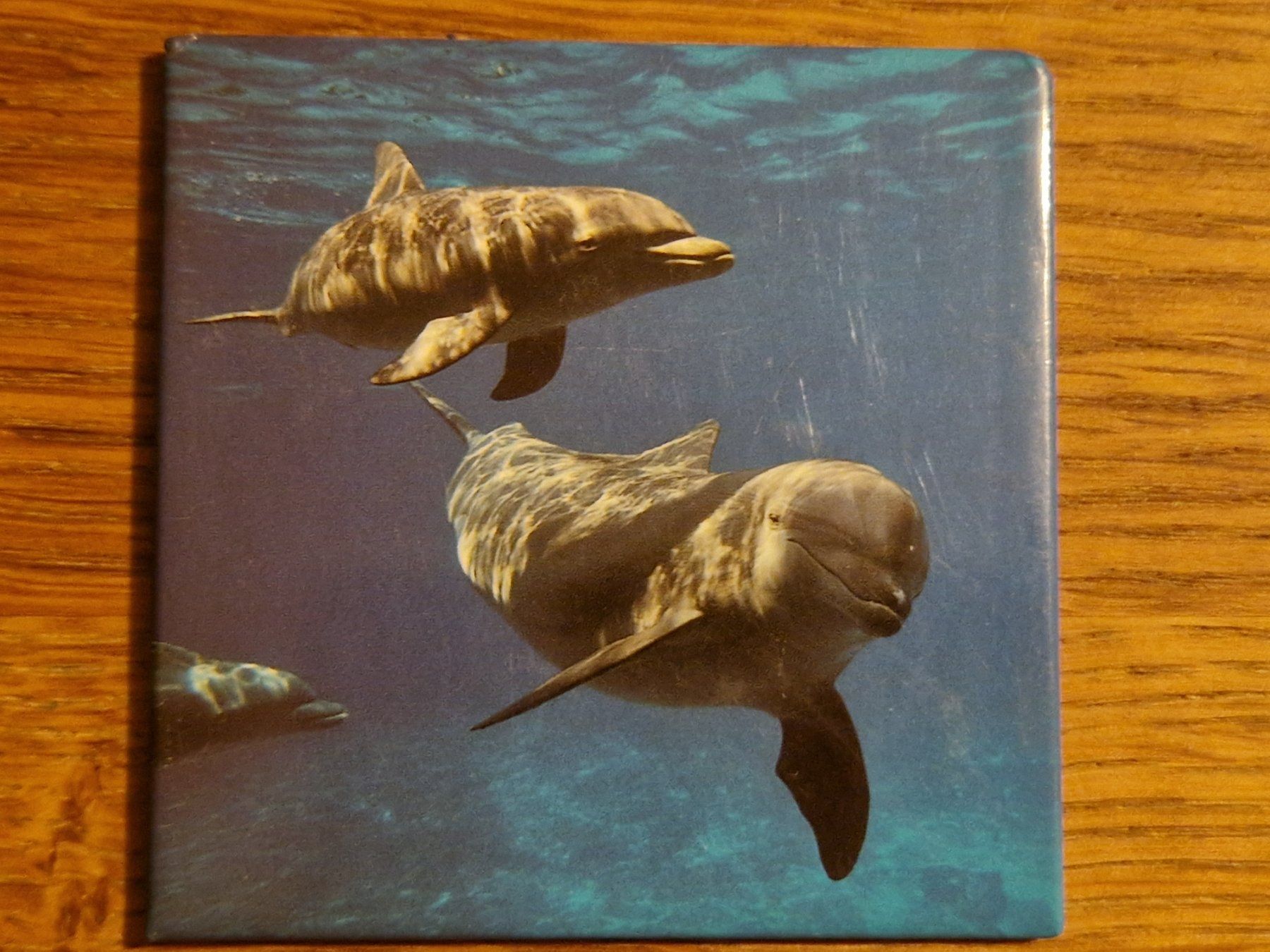 Calamite: Magnet pour frigo - dauphins – Nuovo (secondo la descrizione) da Villars-sur-Glâne venduto da Agnie80 1