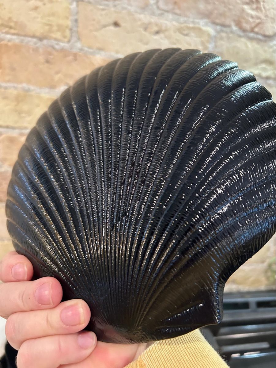 Services de table: Vintage Arcoroc Black Glass Shell Dishes – D'occasion à Zürich par Zurich_TimeCapsule 4