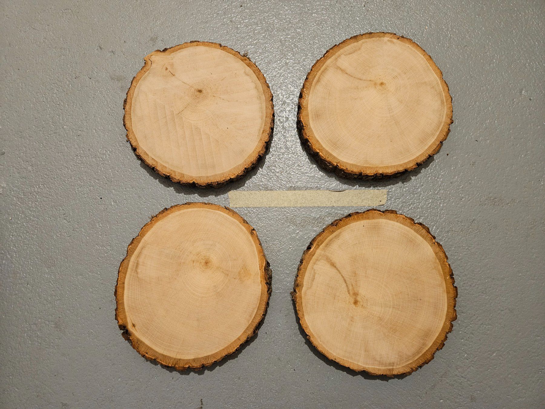 Articles en bois: Baumscheiben – Neuf (Voir description) à Brunnen par kent03 2