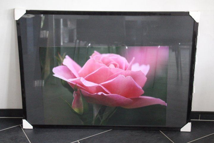 Foto & Immagini: Foto mit Wechselrahmen 70 x 100 cm – Usato da Eschenbach SG venduto da Anisti13 1