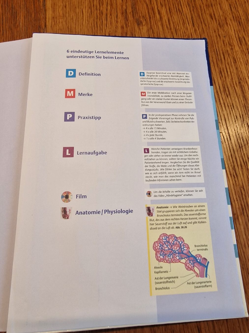 Libri: Altes Thieme Pflege Buch mit  4 CDs – Usato da Steinen venduto da sam_zy9z 6