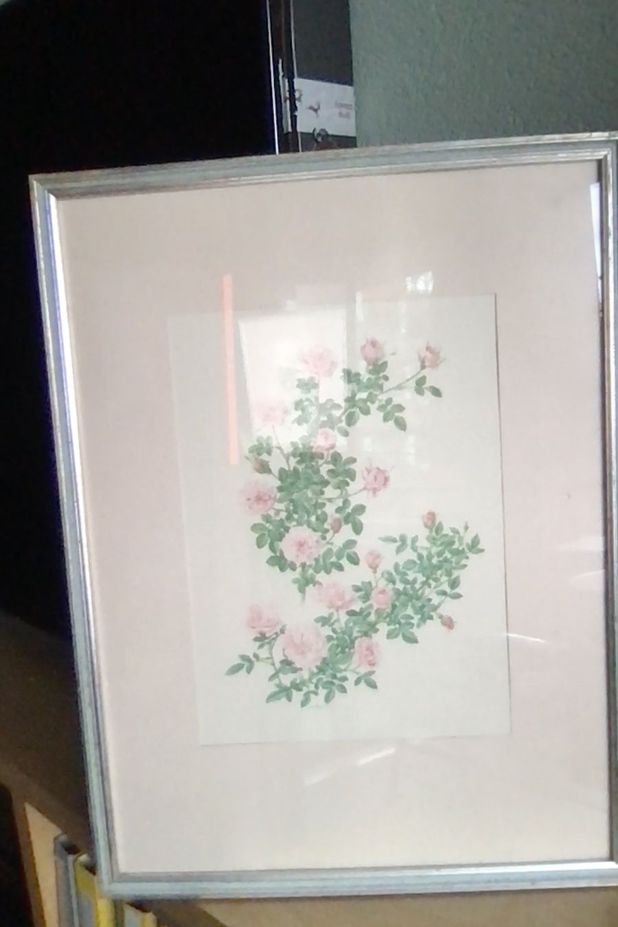 Foto & Immagini: bild von TRECHSLIN 24x33 Rahmen 41x65 – Usato da Pfäffikon ZH venduto da Carlin8