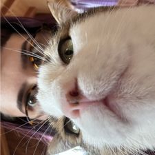 Profile image of Grafaym