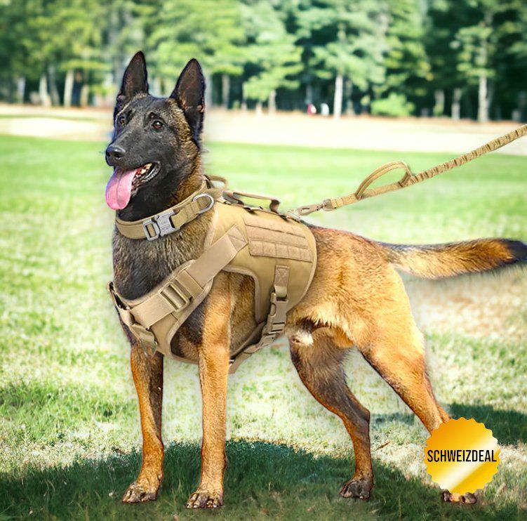 Petmolico Taktisches Hundegeschirr Mit Leine – Kein Ziehen, Perfekt Für Training, Wandern & Outdoor