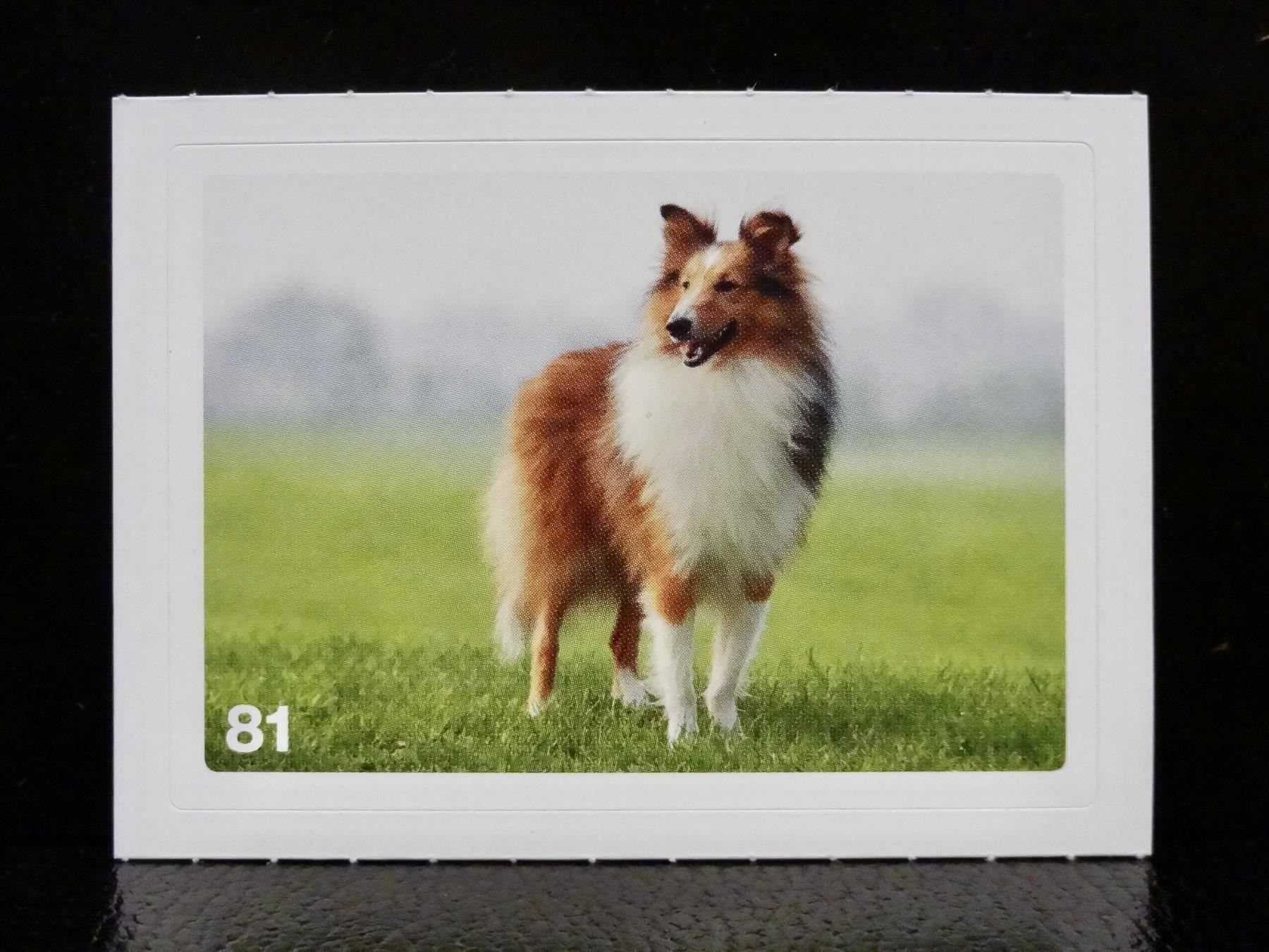 Migros Carte collezionabili: MIGROS MANIA Nature Detectives Nr. 81 – Usato da Kerzers venduto da zimmergruen