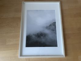 Gerahmtes Nebelbild Wald & Tannenbäume