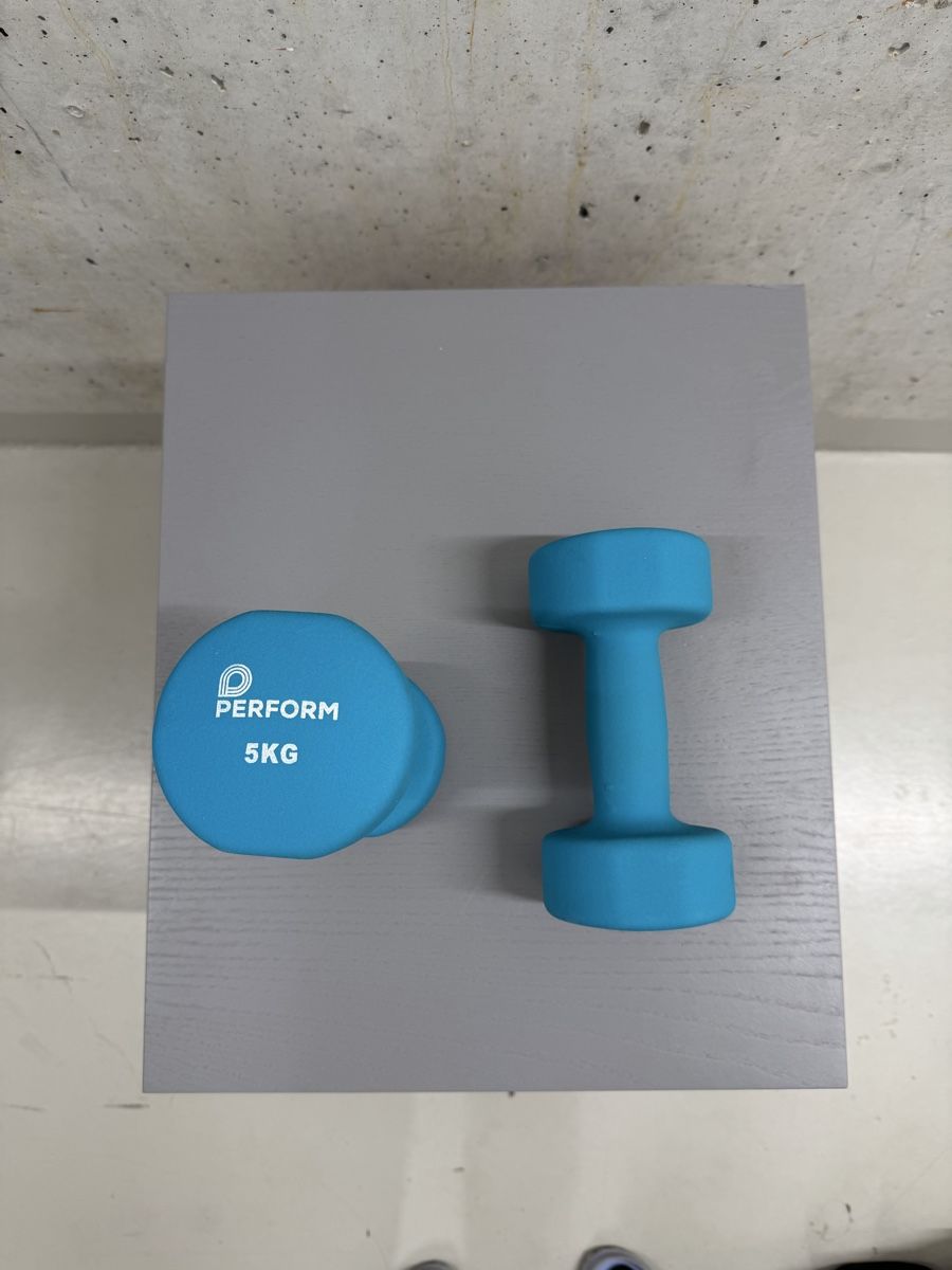 Manubri & Pesi: Perform Hantel 2x 5kg – Usato da Zürich venduto da con_mts2 1