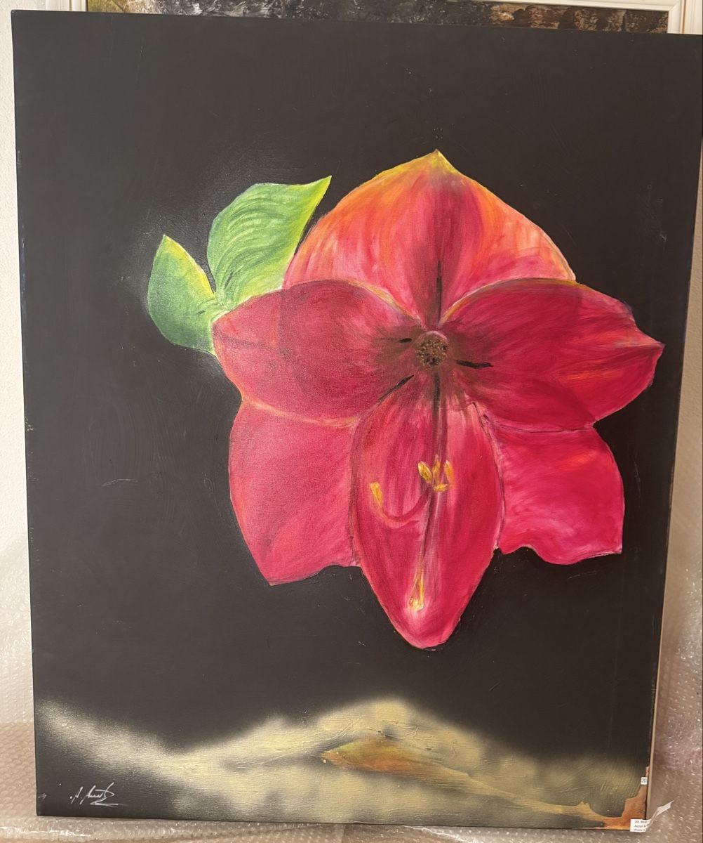 Dipinti: Blühende Leidenschaft: Amaryllis Gemälde – Usato da Glattbrugg venduto da Marius12