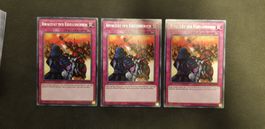 Yugioh Rivalität der Krigsherren KICO