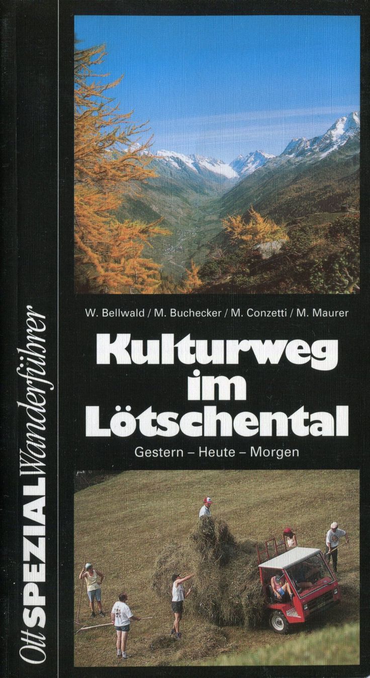 Libri: Lötschental, Kulturweg, Wanderführer – Usato da Aarau venduto da Elmaar41